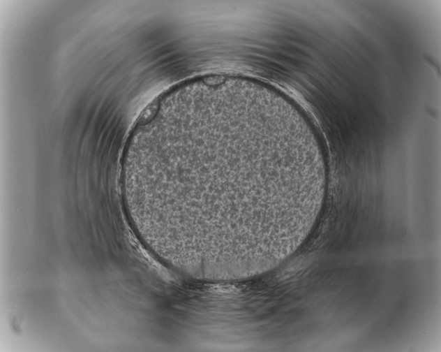 X0000102460799200809051308