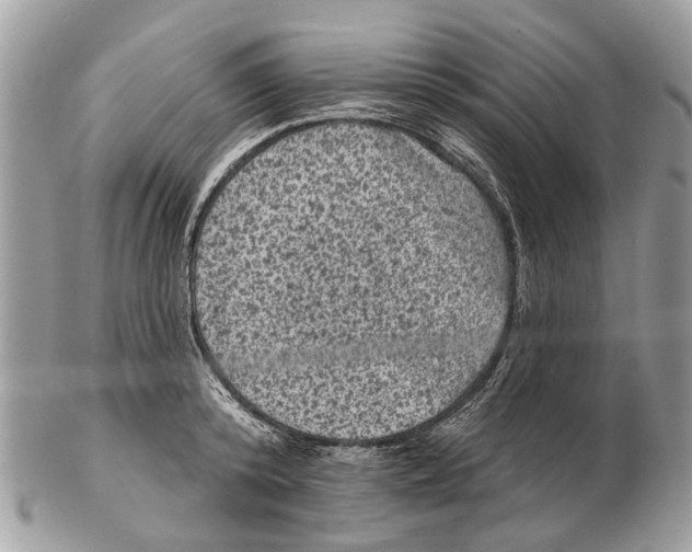 X0000102460800200809051308