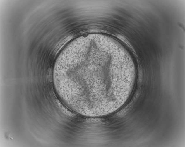 X0000102460801200809051308