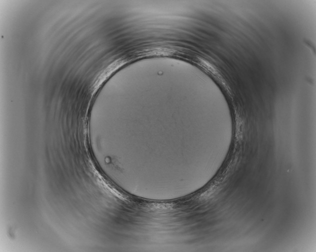 X0000102460802200809051308