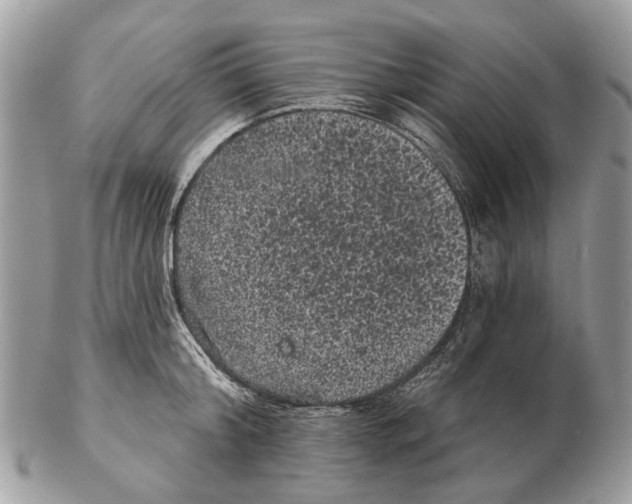 X0000102460804200809051308