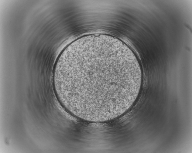X0000102460805200809051308