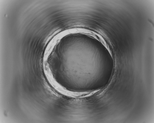 X0000102460806200809051308