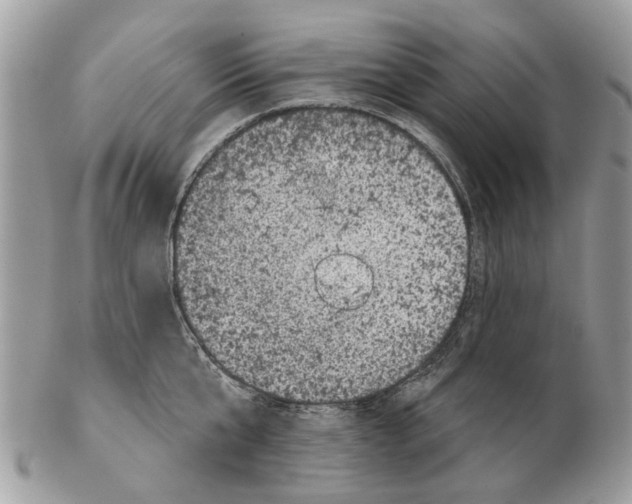 X0000102460807200809051308