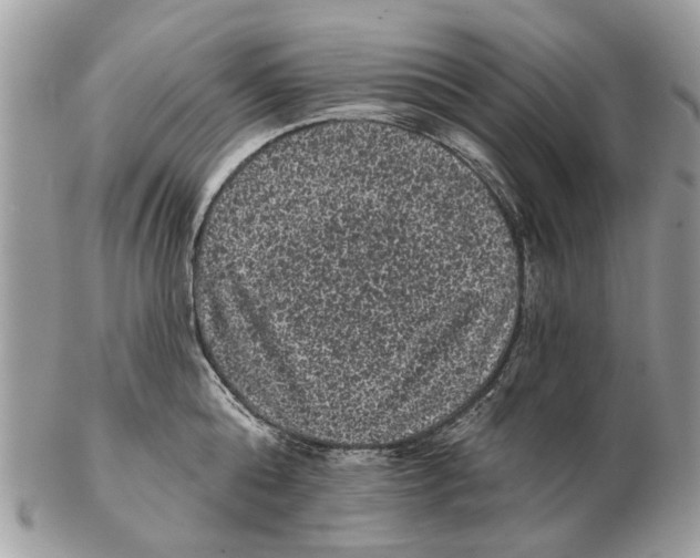 X0000102460808200809051308
