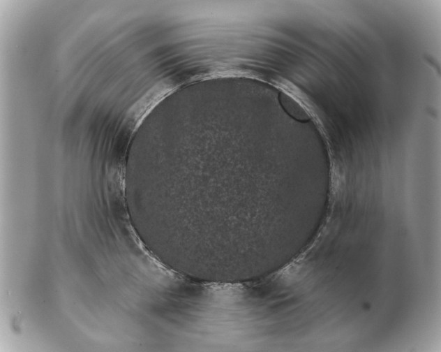 X0000102460809200809051308