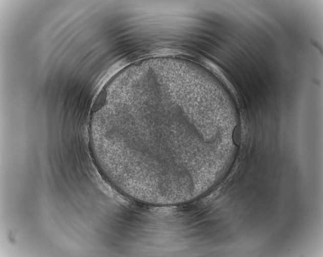 X0000102460810200809051308