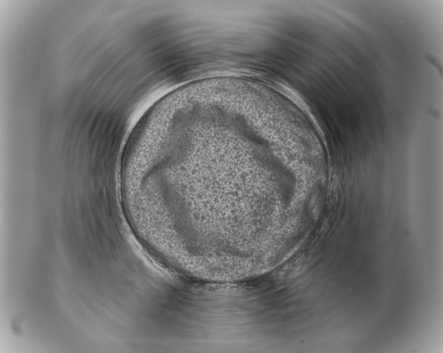 X0000102460811200809051308