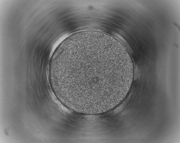 X0000102460812200809051308