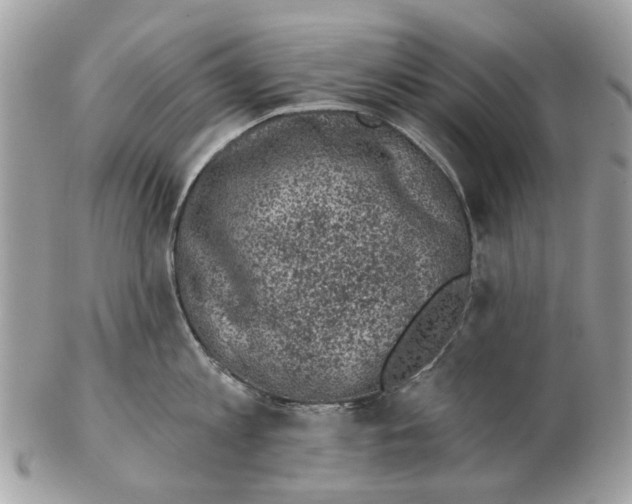 X0000102460813200809051308