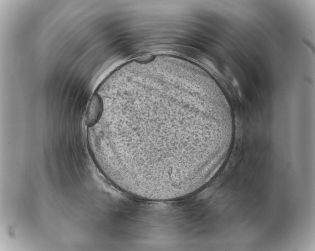 X0000102460814200809051308