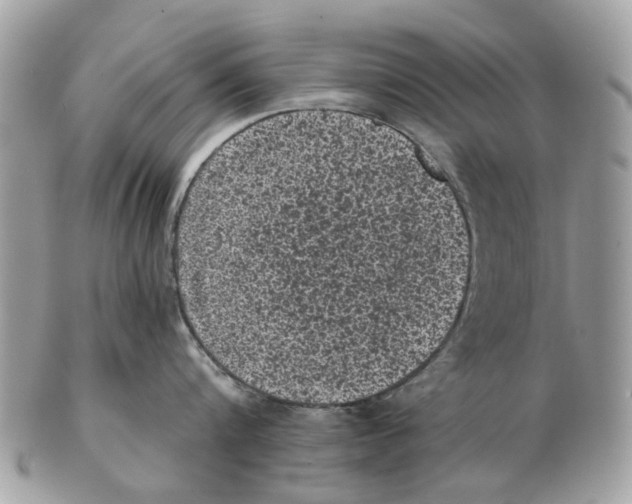 X0000102460816200809051308