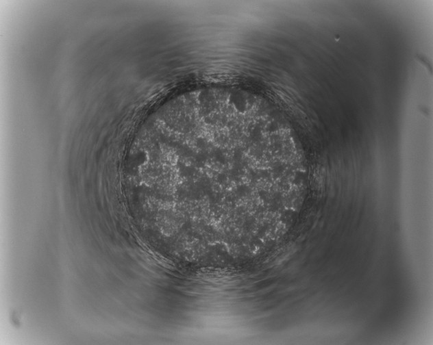 X0000102460817200809051307