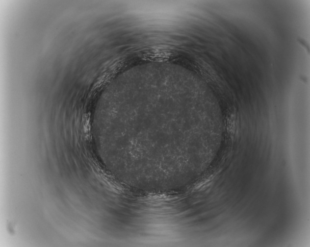 X0000102460818200809051307