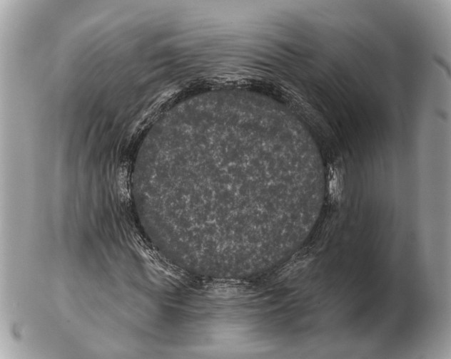X0000102460819200809051307