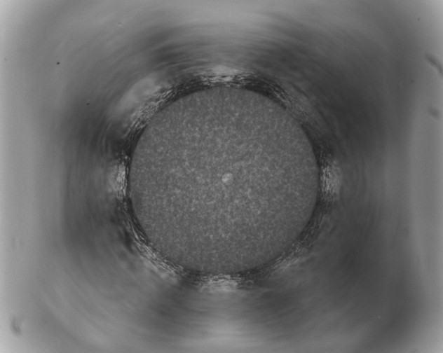 X0000102460820200809051307