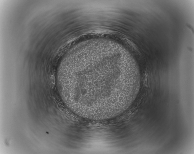 X0000102460821200809051307