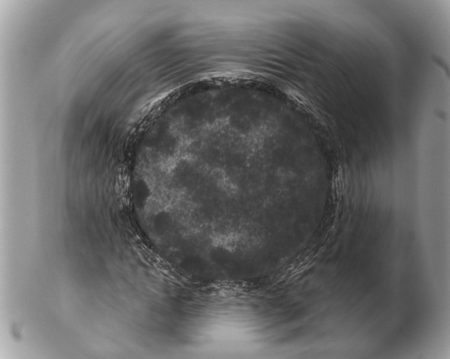 X0000102460822200809051307