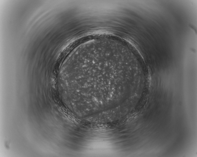 X0000102460823200809051307
