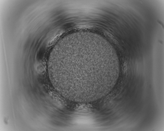 X0000102460824200809051307