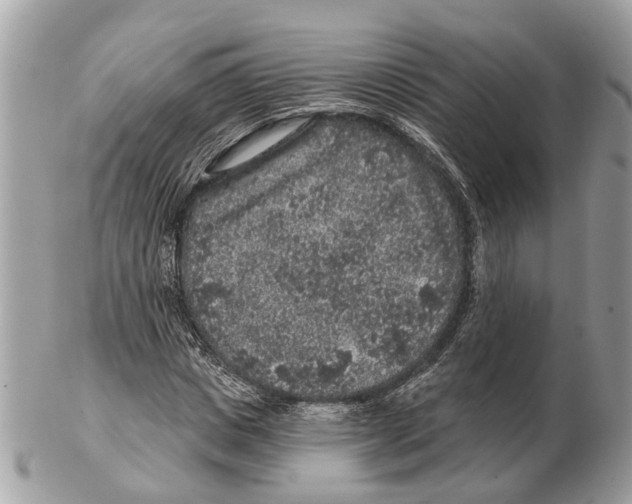 X0000102460825200809051307