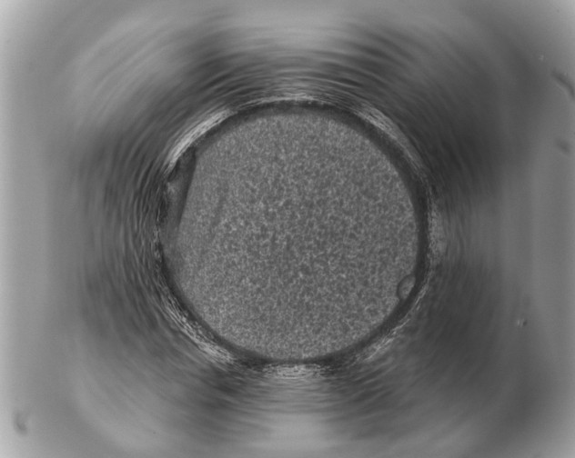X0000102460826200809051307