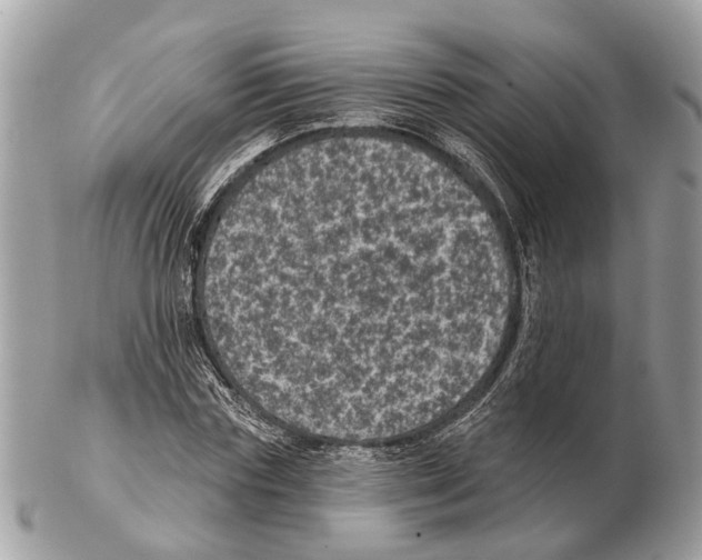 X0000102460827200809051307