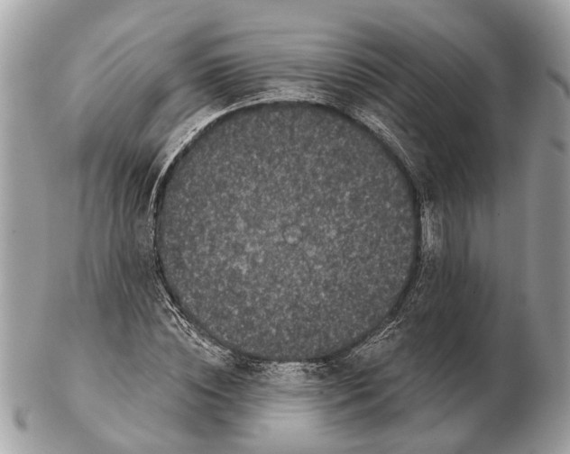 X0000102460828200809051307