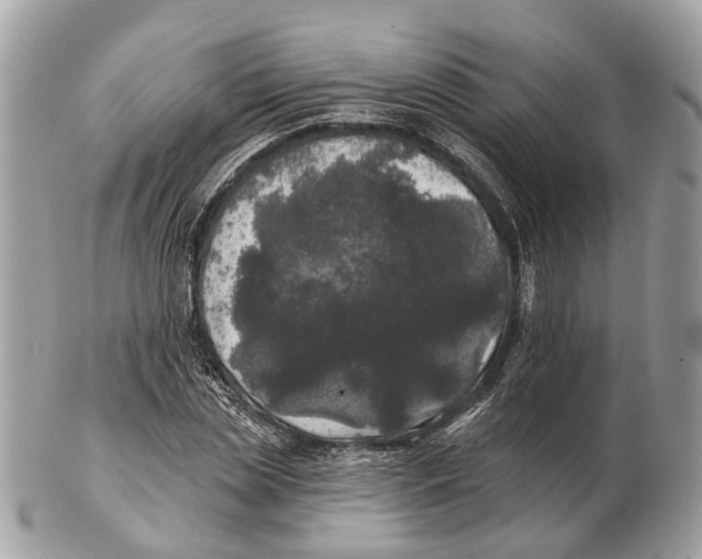 X0000102460829200809051307