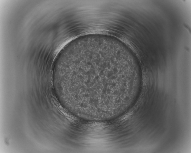 X0000102460830200809051307