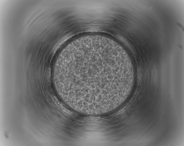 X0000102460831200809051307