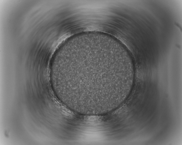 X0000102460832200809051307