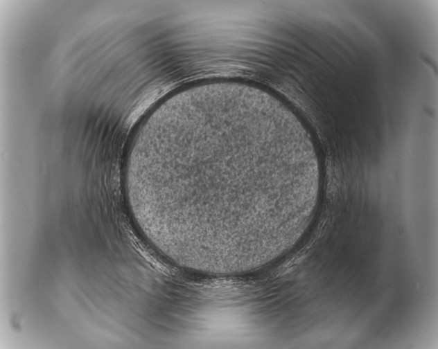 X0000102460834200809051307