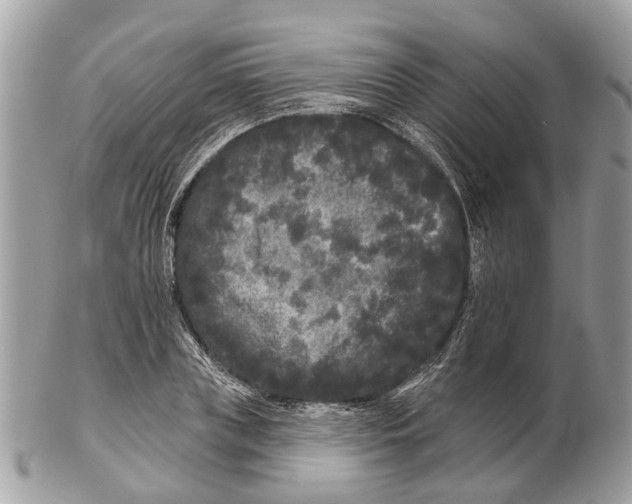 X0000102460835200809051307