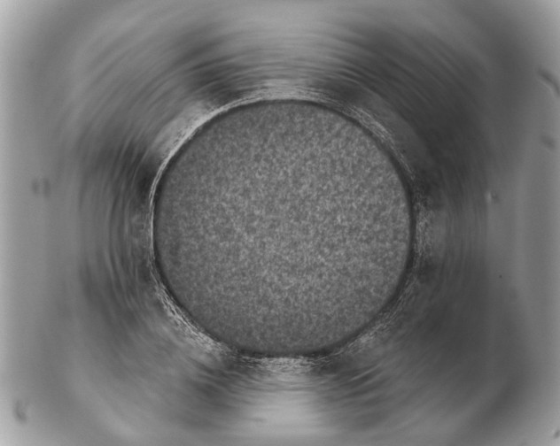 X0000102460836200809051308