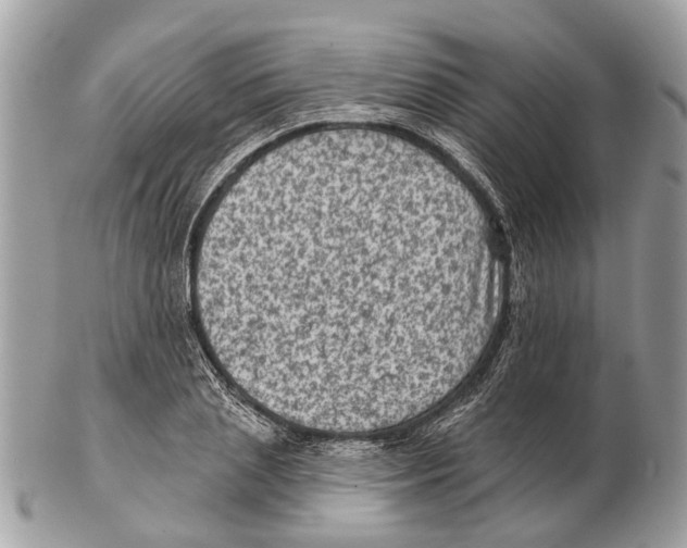 X0000102460837200809051308