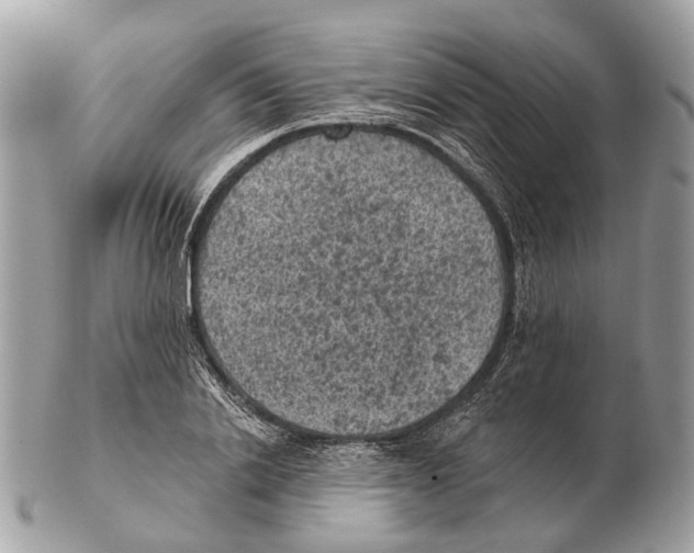 X0000102460838200809051308