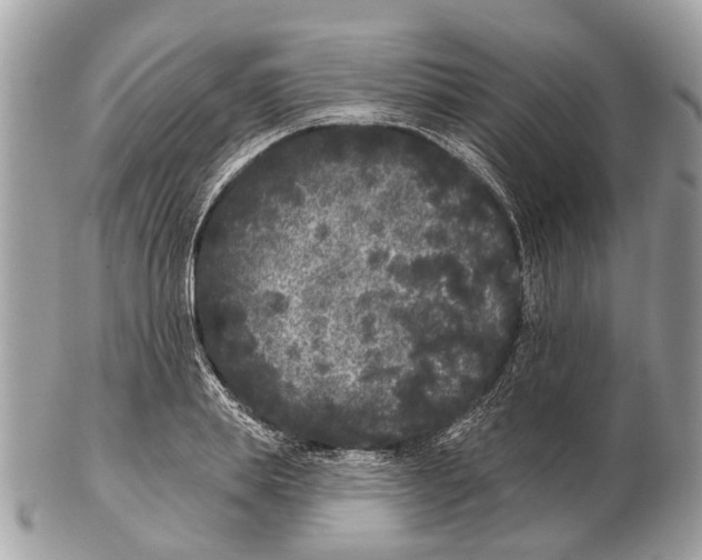 X0000102460839200809051308
