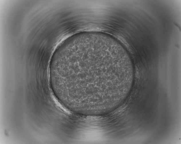 X0000102460840200809051308