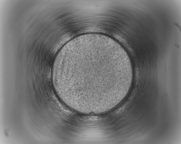 X0000102460841200809051308