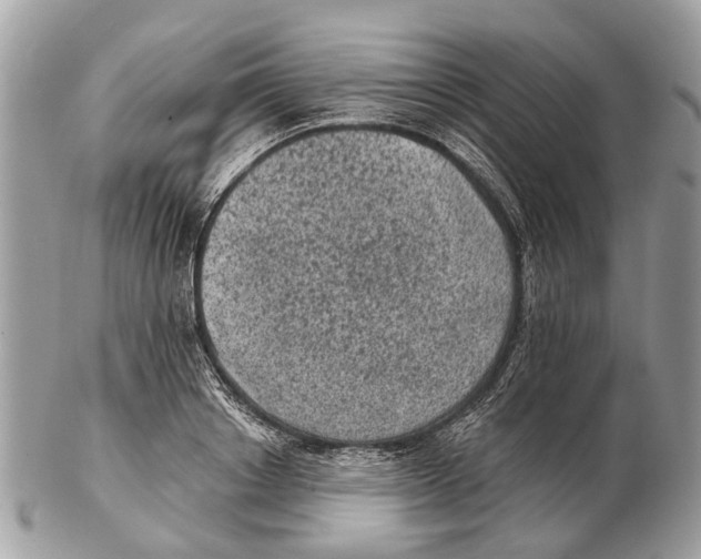X0000102460842200809051308