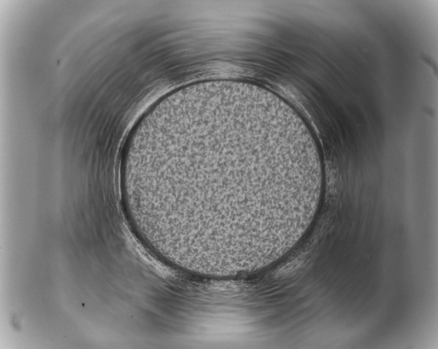 X0000102460843200809051308
