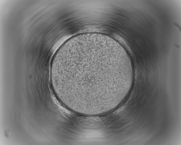 X0000102460844200809051308