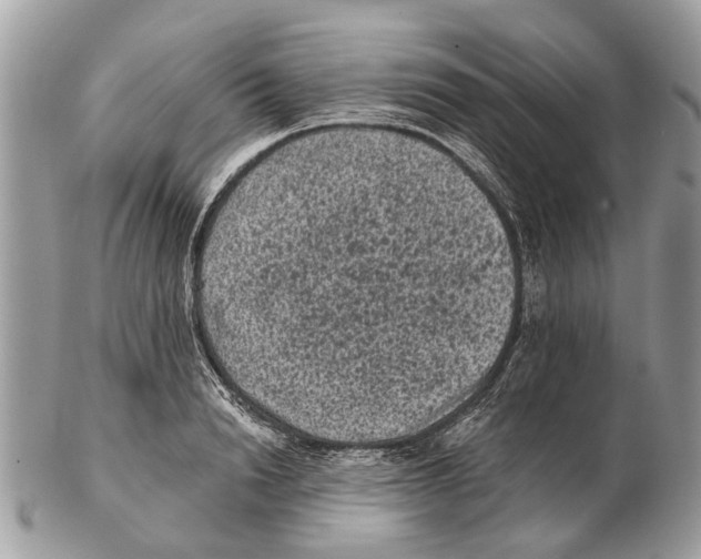 X0000102460846200809051308