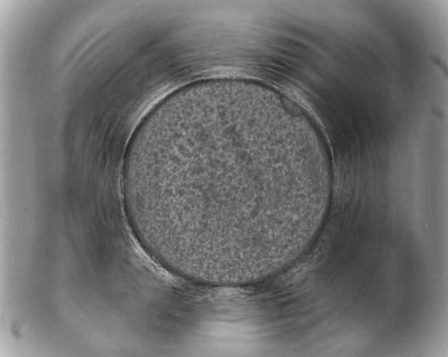 X0000102460847200809051308