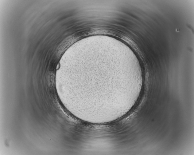 X0000102460849200809051308