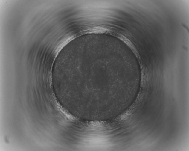 X0000102460850200809051308