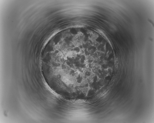 X0000102460851200809051308