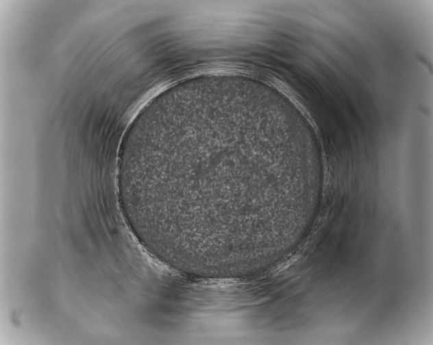 X0000102460853200809051308