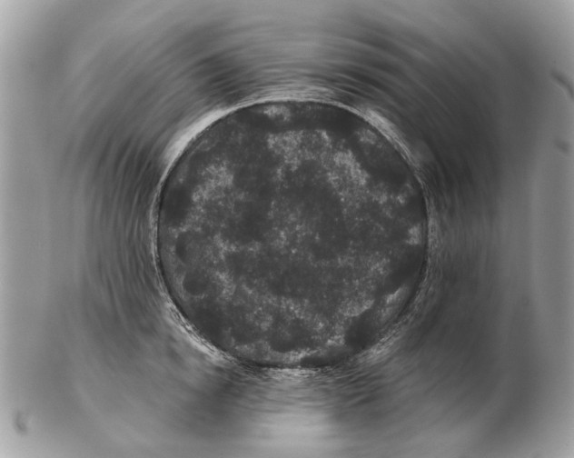 X0000102460854200809051308